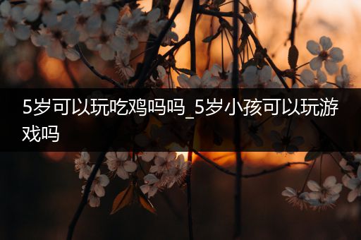 5岁可以玩吃鸡吗吗_5岁小孩可以玩游戏吗