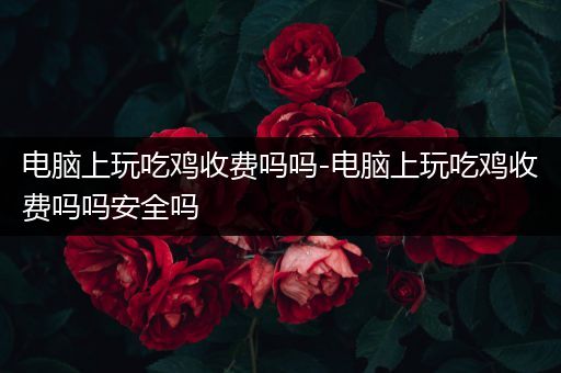 电脑上玩吃鸡收费吗吗-电脑上玩吃鸡收费吗吗安全吗