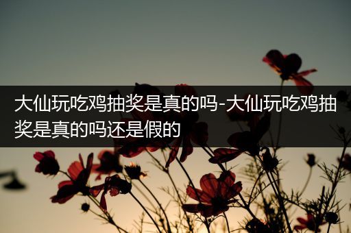 大仙玩吃鸡抽奖是真的吗-大仙玩吃鸡抽奖是真的吗还是假的