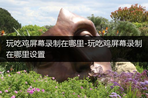 玩吃鸡屏幕录制在哪里-玩吃鸡屏幕录制在哪里设置