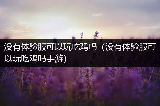 没有体验服可以玩吃鸡吗（没有体验服可以玩吃鸡吗手游）