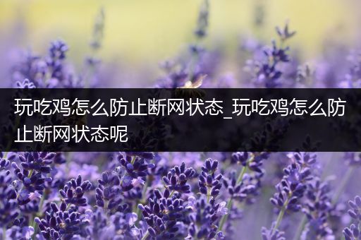 玩吃鸡怎么防止断网状态_玩吃鸡怎么防止断网状态呢