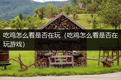 吃鸡怎么看是否在玩（吃鸡怎么看是否在玩游戏）