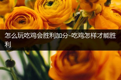 怎么玩吃鸡会胜利加分-吃鸡怎样才能胜利