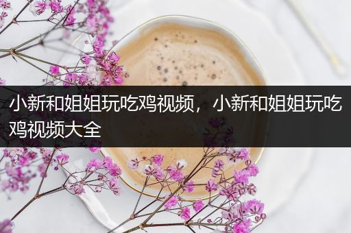 小新和姐姐玩吃鸡视频，小新和姐姐玩吃鸡视频大全