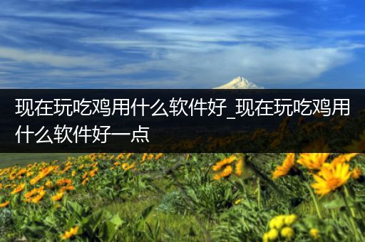 现在玩吃鸡用什么软件好_现在玩吃鸡用什么软件好一点