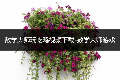 数学大师玩吃鸡视频下载-数学大师游戏