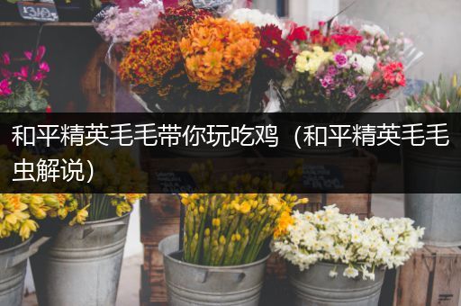 和平精英毛毛带你玩吃鸡（和平精英毛毛虫解说）