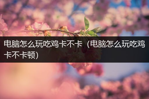 电脑怎么玩吃鸡卡不卡（电脑怎么玩吃鸡卡不卡顿）