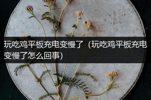 玩吃鸡平板充电变慢了（玩吃鸡平板充电变慢了怎么回事）