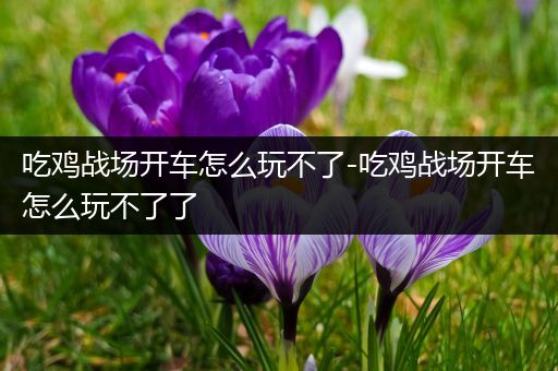 吃鸡战场开车怎么玩不了-吃鸡战场开车怎么玩不了了