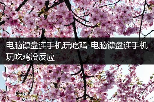 电脑键盘连手机玩吃鸡-电脑键盘连手机玩吃鸡没反应