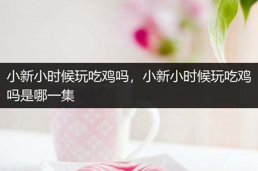 小新小时候玩吃鸡吗，小新小时候玩吃鸡吗是哪一集