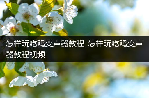 怎样玩吃鸡变声器教程_怎样玩吃鸡变声器教程视频
