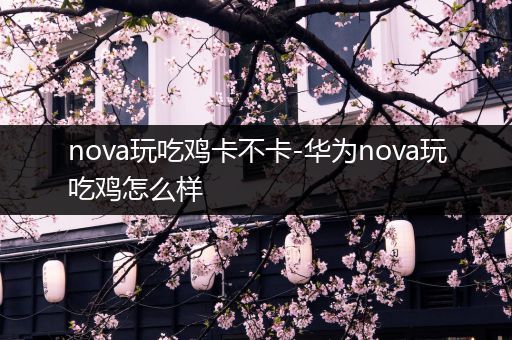 nova玩吃鸡卡不卡-华为nova玩吃鸡怎么样