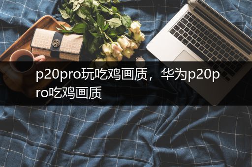 p20pro玩吃鸡画质，华为p20pro吃鸡画质