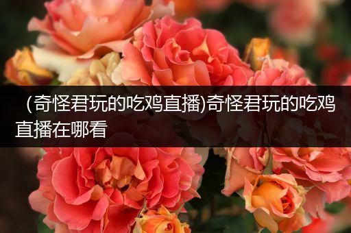 （奇怪君玩的吃鸡直播)奇怪君玩的吃鸡直播在哪看