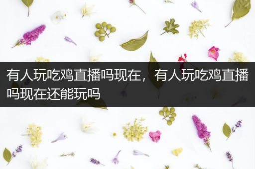 有人玩吃鸡直播吗现在，有人玩吃鸡直播吗现在还能玩吗