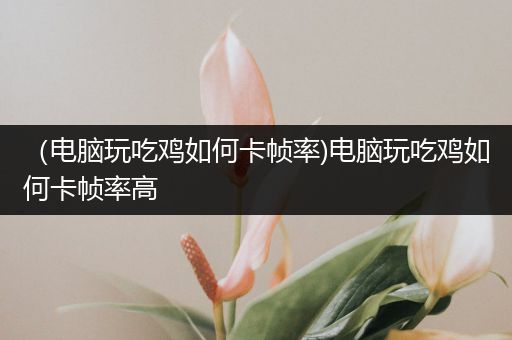 （电脑玩吃鸡如何卡帧率)电脑玩吃鸡如何卡帧率高