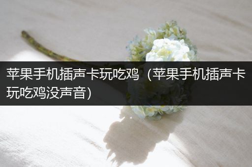 苹果手机插声卡玩吃鸡（苹果手机插声卡玩吃鸡没声音）