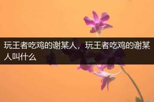 玩王者吃鸡的谢某人，玩王者吃鸡的谢某人叫什么