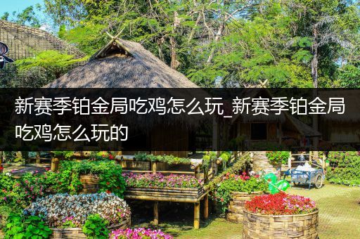 新赛季铂金局吃鸡怎么玩_新赛季铂金局吃鸡怎么玩的
