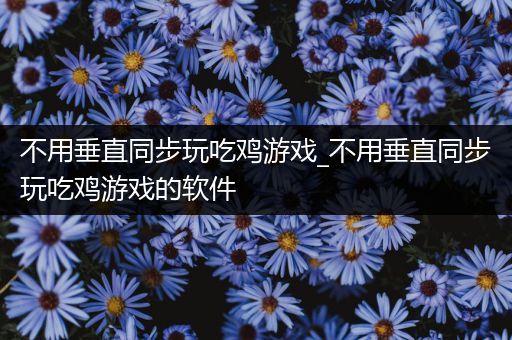 不用垂直同步玩吃鸡游戏_不用垂直同步玩吃鸡游戏的软件