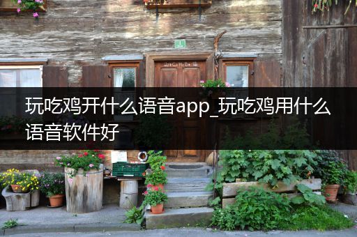 玩吃鸡开什么语音app_玩吃鸡用什么语音软件好