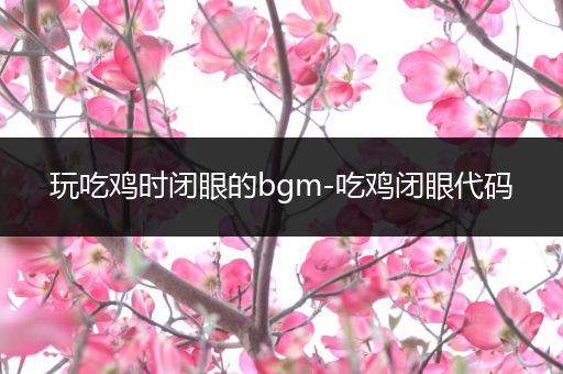 玩吃鸡时闭眼的bgm-吃鸡闭眼代码