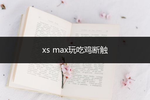 xs max玩吃鸡断触