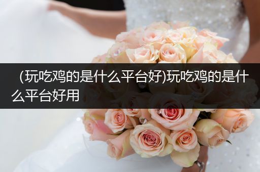 （玩吃鸡的是什么平台好)玩吃鸡的是什么平台好用