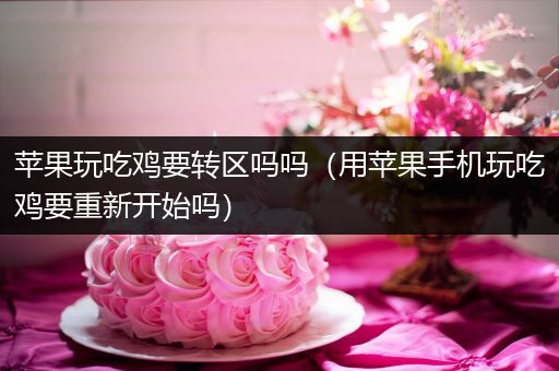苹果玩吃鸡要转区吗吗（用苹果手机玩吃鸡要重新开始吗）