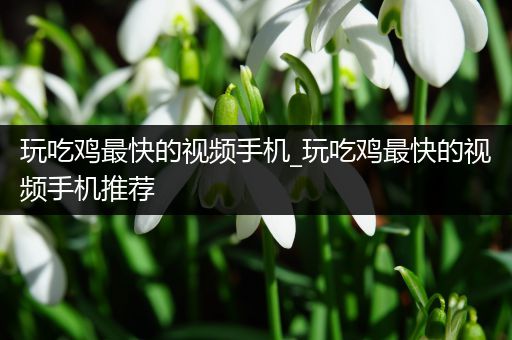 玩吃鸡最快的视频手机_玩吃鸡最快的视频手机推荐