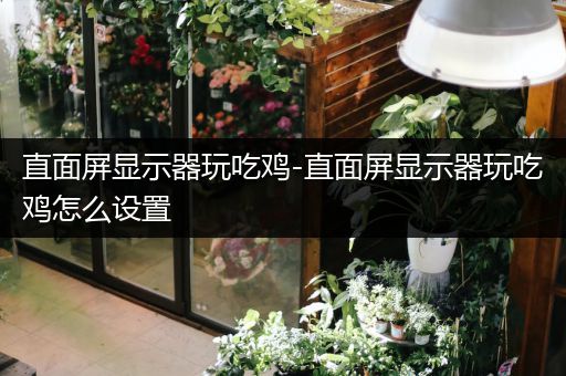 直面屏显示器玩吃鸡-直面屏显示器玩吃鸡怎么设置