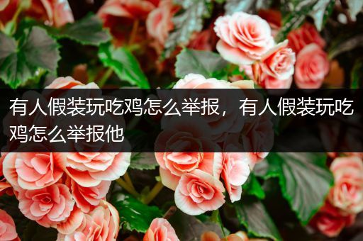 有人假装玩吃鸡怎么举报，有人假装玩吃鸡怎么举报他