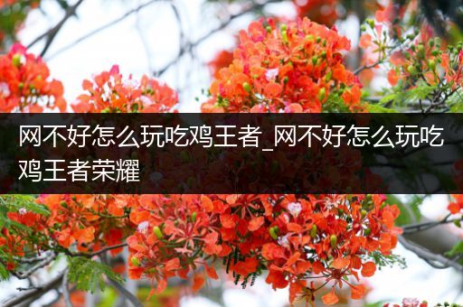 网不好怎么玩吃鸡王者_网不好怎么玩吃鸡王者荣耀