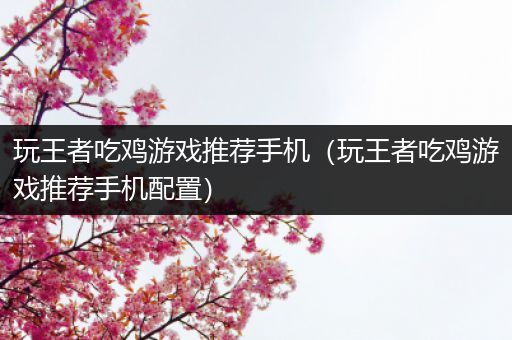 玩王者吃鸡游戏推荐手机（玩王者吃鸡游戏推荐手机配置）