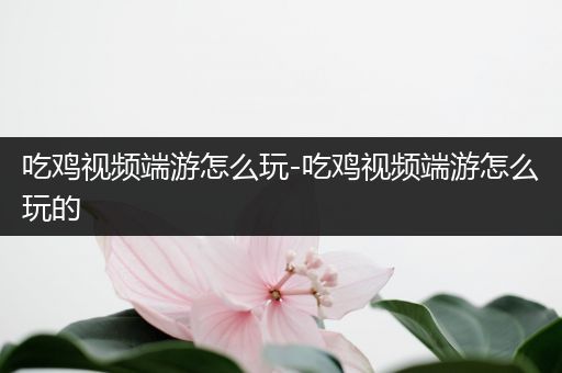 吃鸡视频端游怎么玩-吃鸡视频端游怎么玩的
