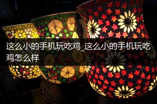 这么小的手机玩吃鸡_这么小的手机玩吃鸡怎么样