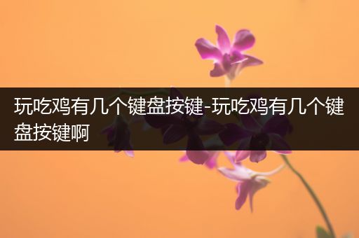 玩吃鸡有几个键盘按键-玩吃鸡有几个键盘按键啊