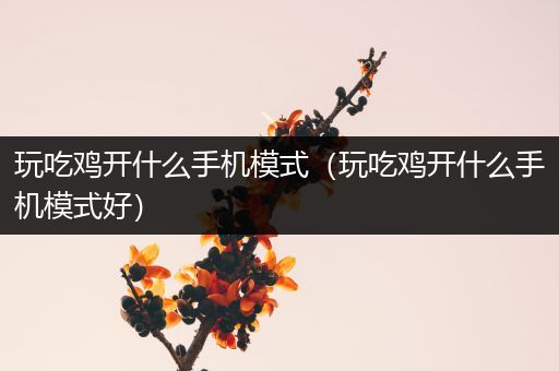 玩吃鸡开什么手机模式（玩吃鸡开什么手机模式好）