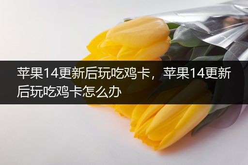 苹果14更新后玩吃鸡卡，苹果14更新后玩吃鸡卡怎么办