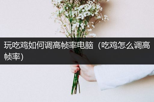 玩吃鸡如何调高帧率电脑（吃鸡怎么调高帧率）