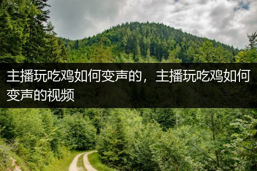 主播玩吃鸡如何变声的，主播玩吃鸡如何变声的视频