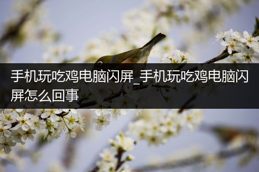 手机玩吃鸡电脑闪屏_手机玩吃鸡电脑闪屏怎么回事