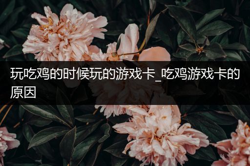 玩吃鸡的时候玩的游戏卡_吃鸡游戏卡的原因