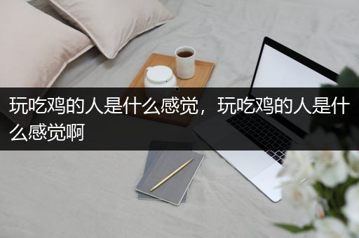 玩吃鸡的人是什么感觉，玩吃鸡的人是什么感觉啊