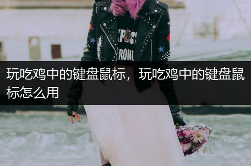 玩吃鸡中的键盘鼠标，玩吃鸡中的键盘鼠标怎么用