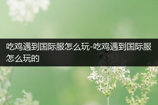 吃鸡遇到国际服怎么玩-吃鸡遇到国际服怎么玩的
