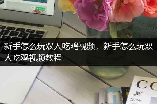 新手怎么玩双人吃鸡视频，新手怎么玩双人吃鸡视频教程